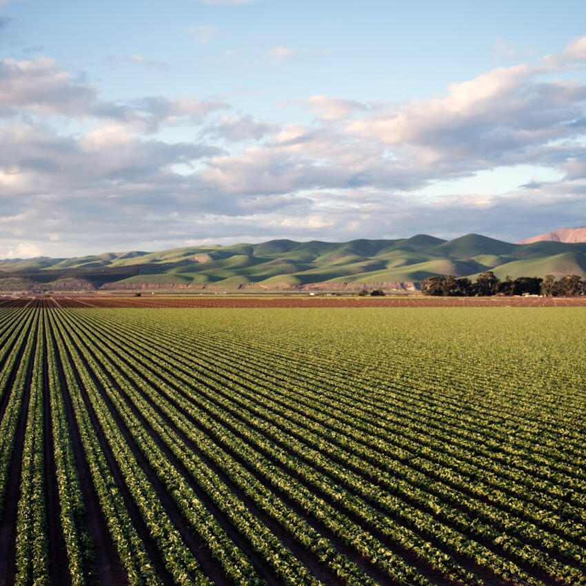Agricultural Businesses